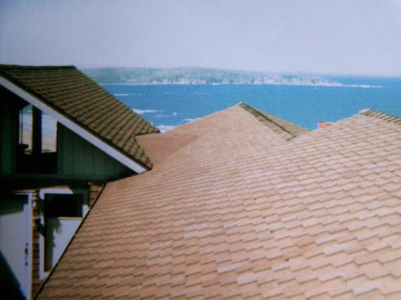 The Roofer: Service Image-1 The Roofer: Service Image-1