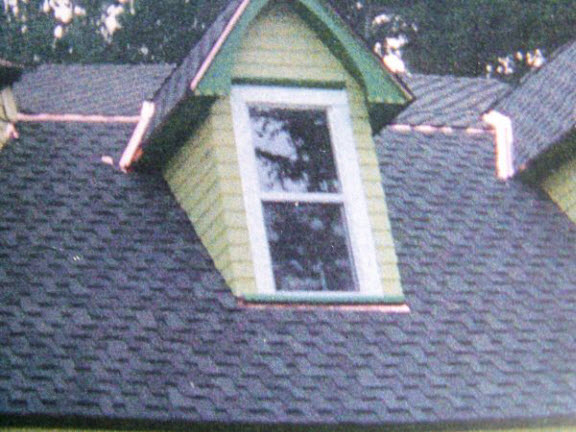 The Roofer: Service Image-3 The Roofer: Service Image-3