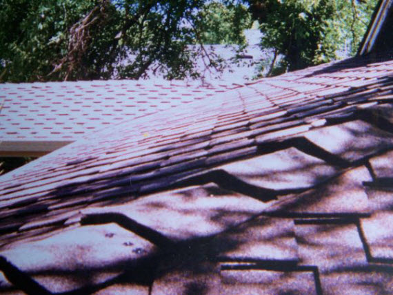 The Roofer: Service Image-4 The Roofer: Service Image-4